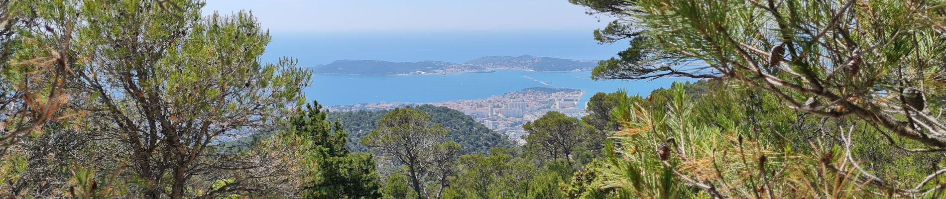 Trail Walking Toulon - m'ont faron - Photo