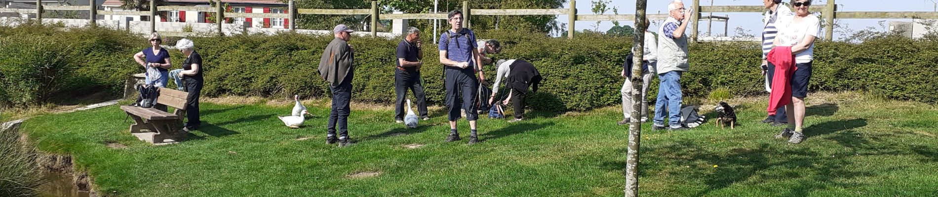 Trail Walking Saint-Romain-de-Colbosc - St Romain de Colbosc / Les Trois Pierres - Photo