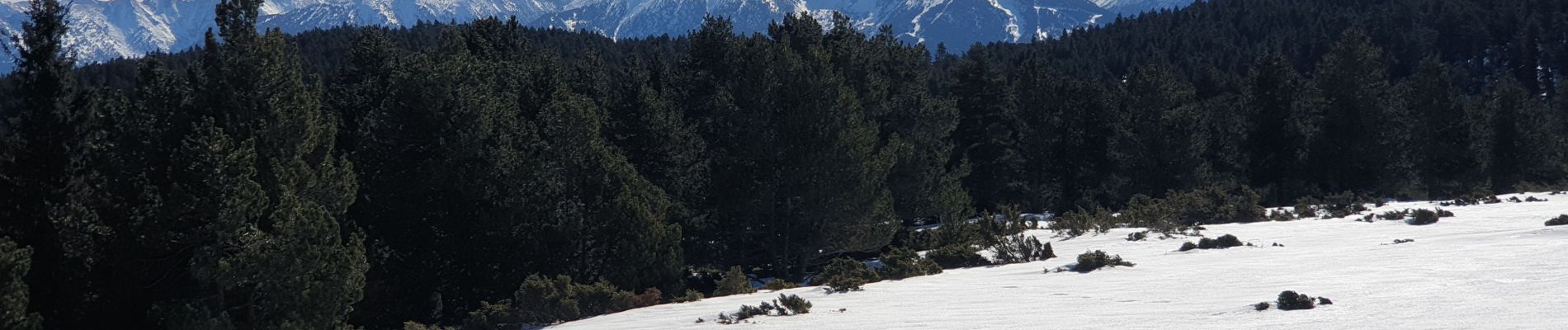 Tocht Sneeuwschoenen Les Angles - raquettes pla del mir lac d'Aude  - Photo