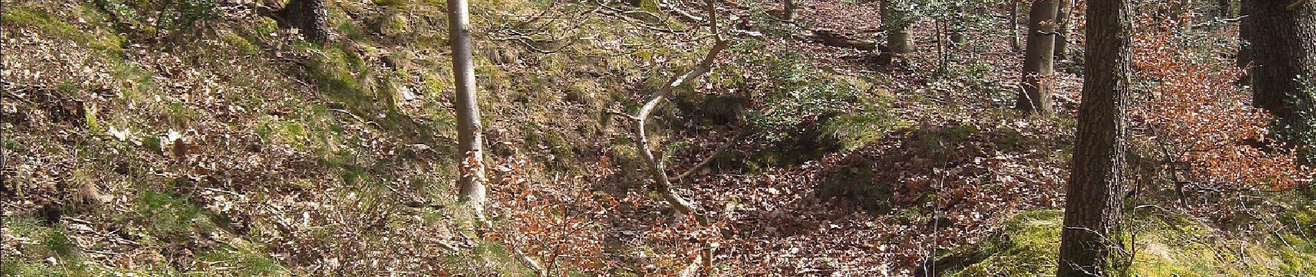 Tour Zu Fuß Balve - Deilinghofen Rundweg 3 - Photo