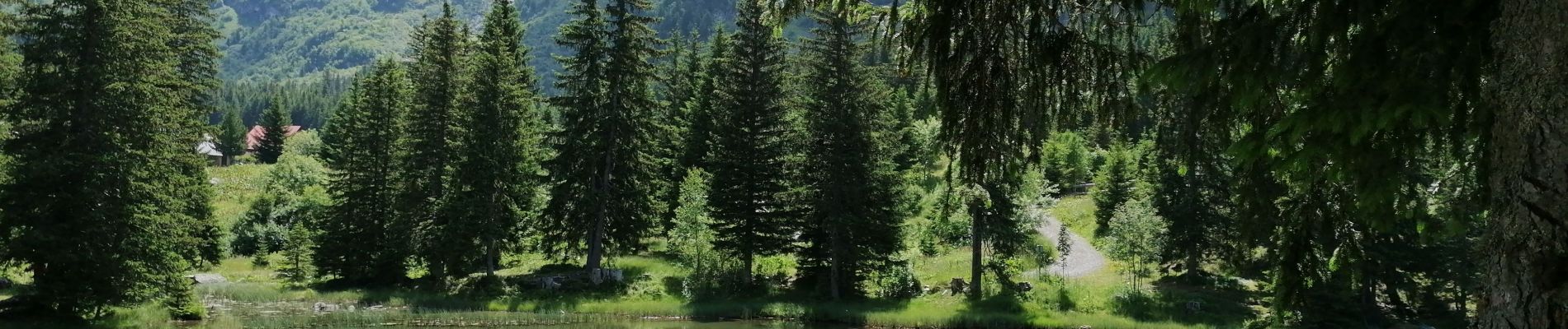 Randonnée Marche Livet-et-Gavet - lac pour sillet 2023 - Photo