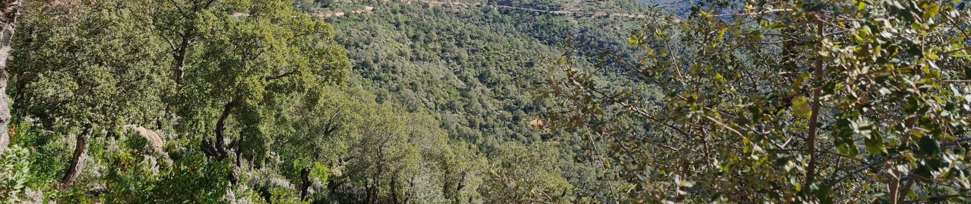 Percorso Mountainbike Les Arcs-sur-Argens - castel diol  mined terriers - Photo