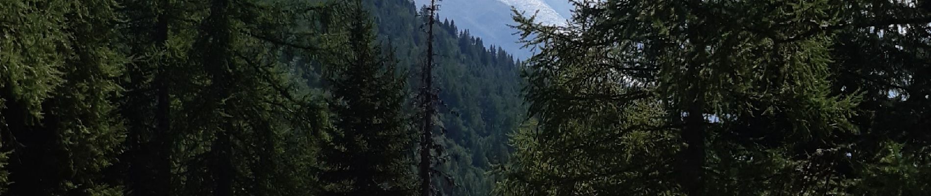 Randonnée Marche Chamonix-Mont-Blanc - Argentieres(aire de jeu) - Photo