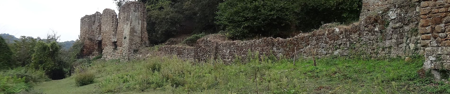 Tour Zu Fuß Canale Monterano - Ara del Tufo - Photo