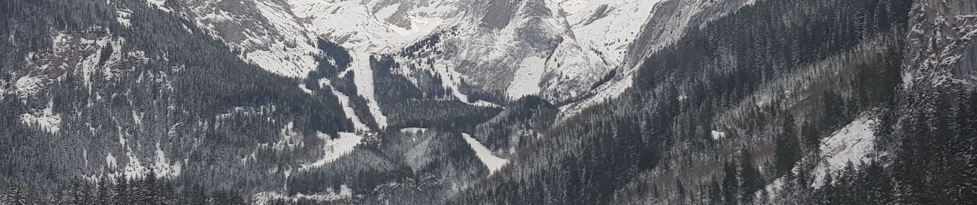 Tocht Sneeuwschoenen Pralognan-la-Vanoise - raquette pralognan - Photo