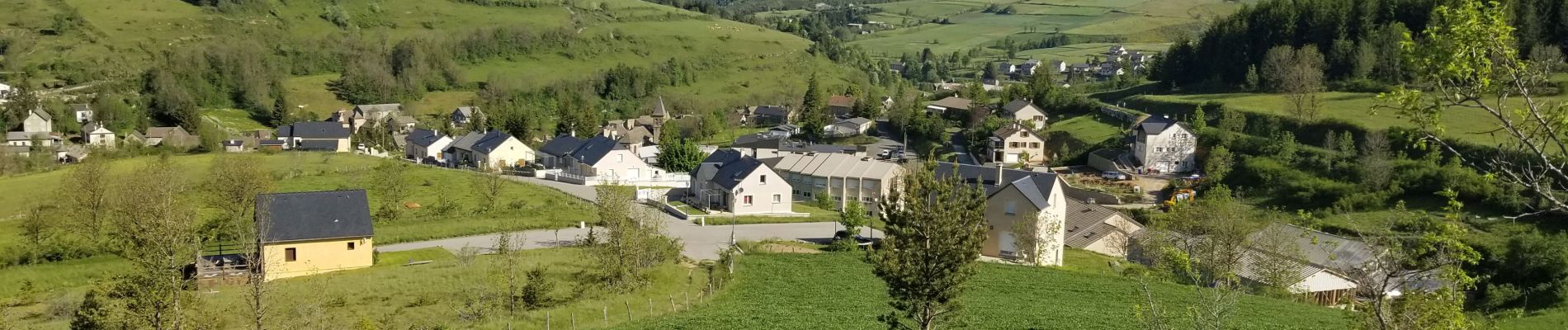 Randonnée Marche Mont Lozère et Goulet - Du Bleymard à  Finiels - Photo