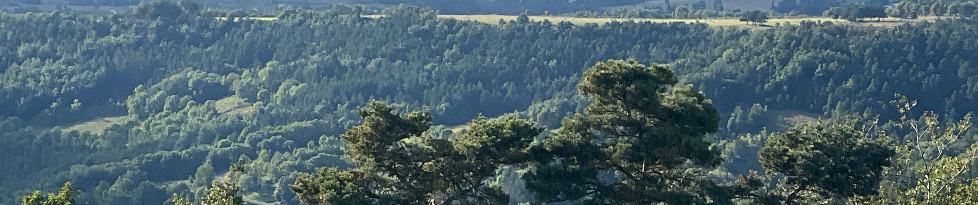 Tocht Stappen Blanzac - Rachat - Chapelle de Chassaleuil - Photo