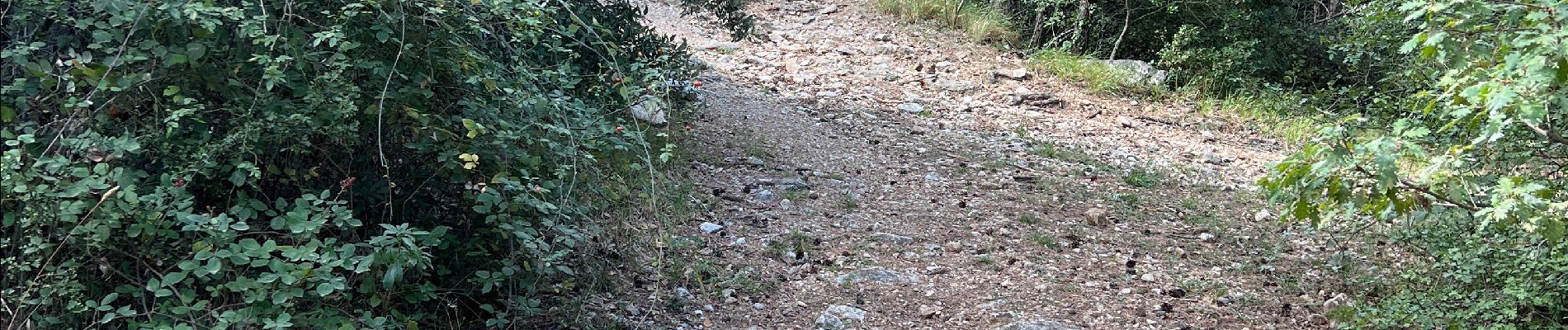 Tocht Stappen Plan-d'Aups-Sainte-Baume - la tour de cauvin - Photo