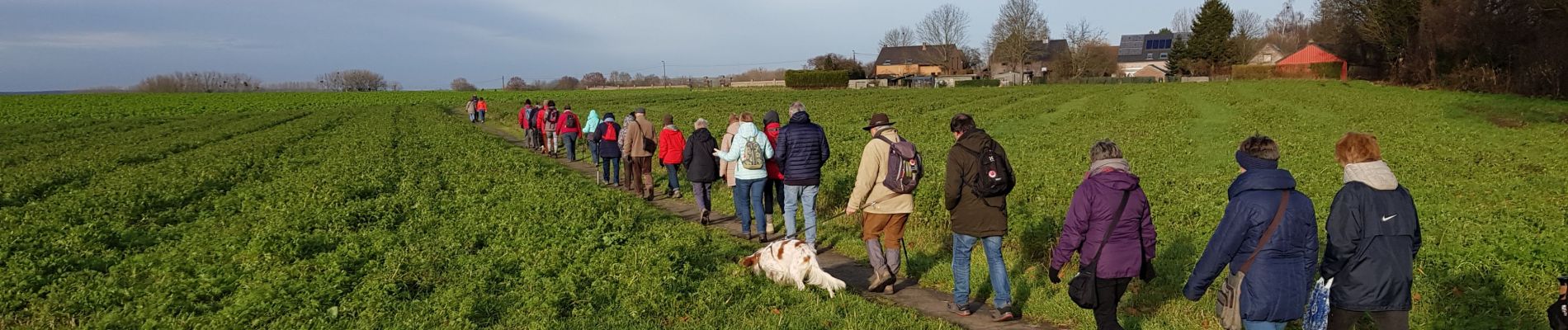 Randonnée Marche Seneffe - feluy 1219 - Photo