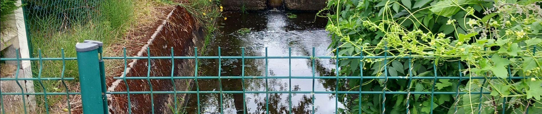 Randonnée Marche Nouan-le-Fuzelier - promenade de nouan  - Photo