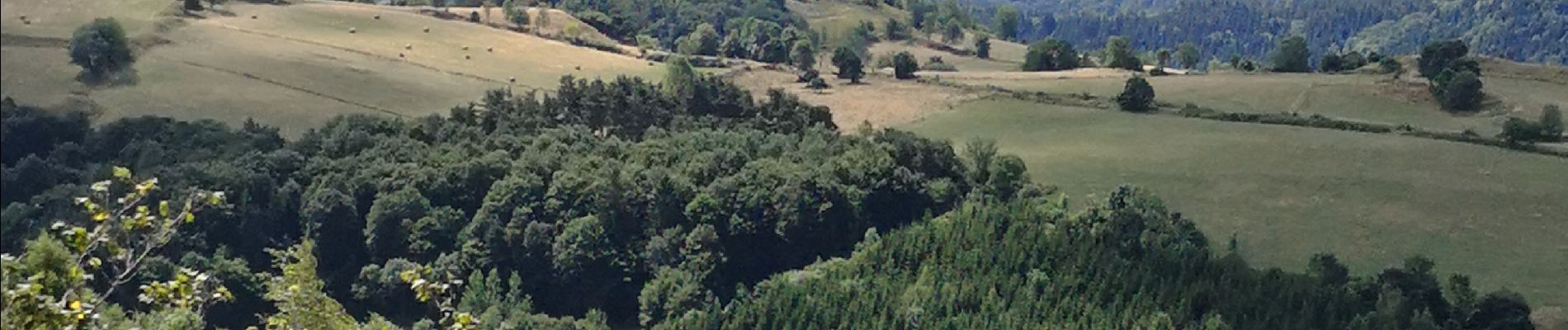 Trail Walking Murat - les estives et tourbière de Chastel sur Murat - Photo