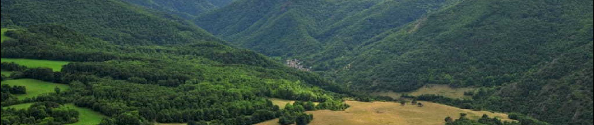 Trail Walking Courgoul - Courgoul_Chemin_Bergeres - Photo