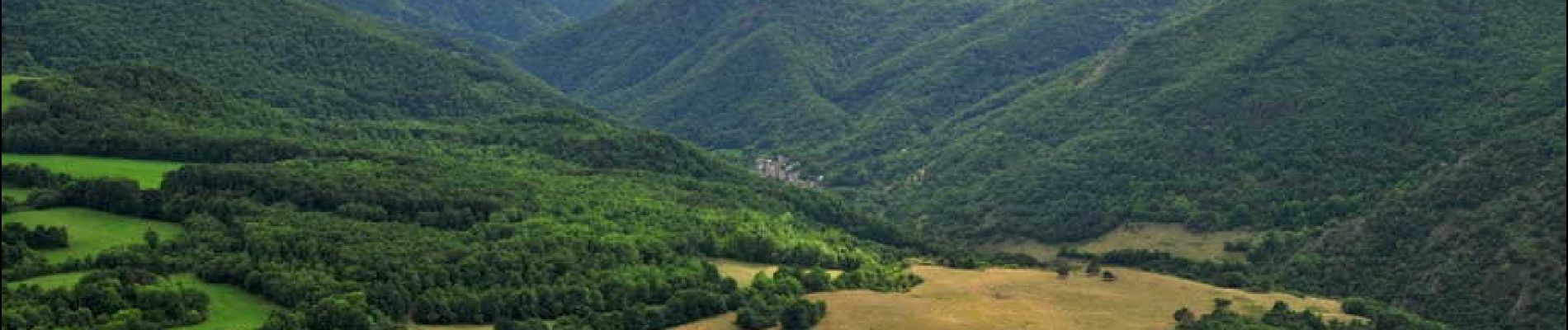 Tour Wandern Courgoul - Courgoul_Chemin_Bergeres - Photo