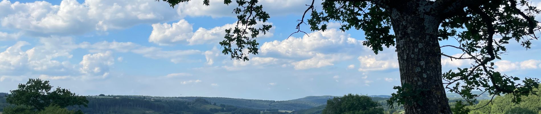 Tour Wandern Rendeux - Cheoux  - Photo