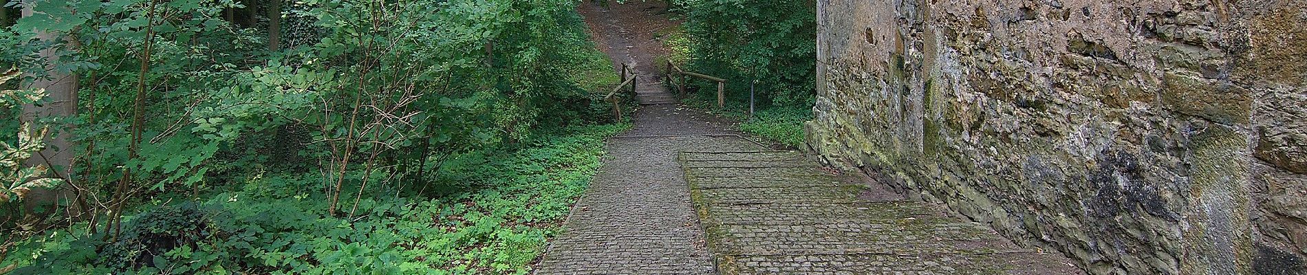 Tour Zu Fuß Rehburg-Loccum - Weg 4 - rot - Wanderung im Loccumer Klosterwald - Photo