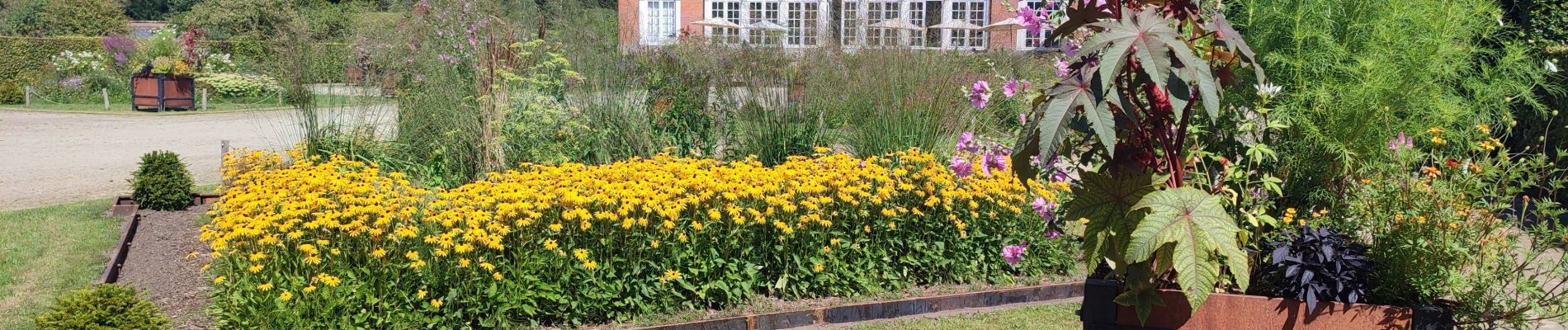 Tour Wandern Schoten - Vordenstein - Schoten - Photo