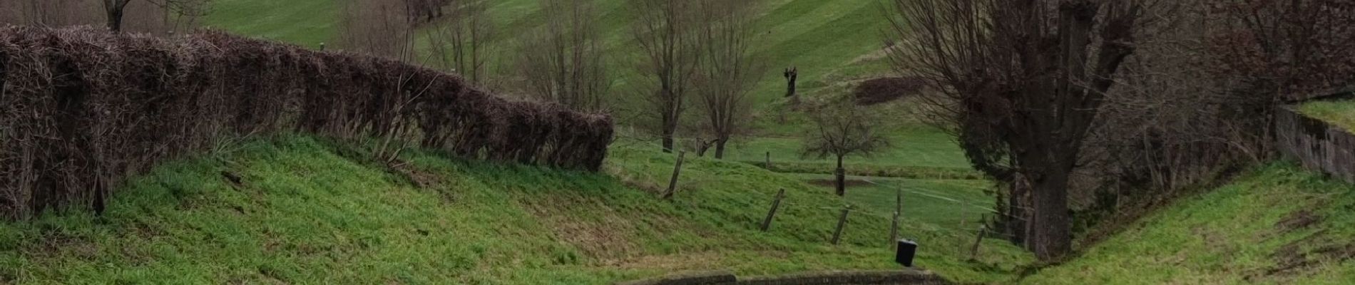 Randonnée Marche Blegny - Balade ressourçante à Blegny  - Photo