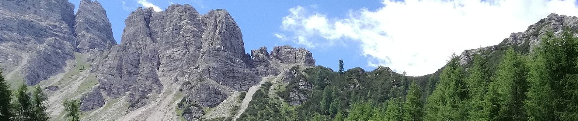 Trail On foot Forni di Sopra - IT-369 - Photo