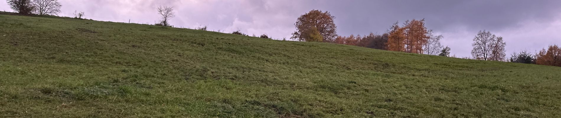 Randonnée Marche Trois-Ponts - Wanne 21,8 km - Photo