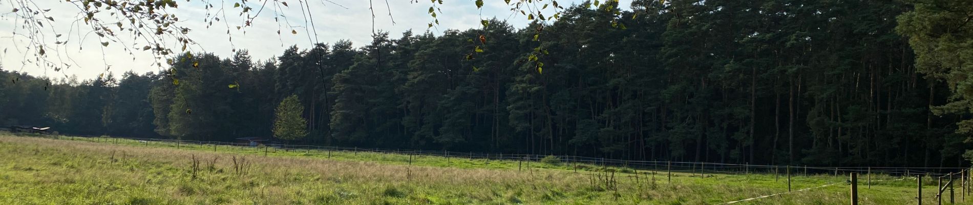 Excursión Senderismo Oud-Heverlee - Vaalbeek - Forêt de Meerdal - Photo