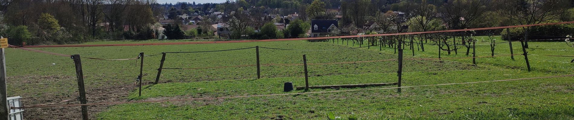 Tocht Stappen Coubron - coubron - Photo