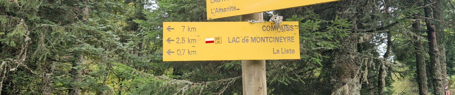 Trail Walking Besse-et-Saint-Anastaise - Les lacs Montcineyre et Bourdouze - Photo