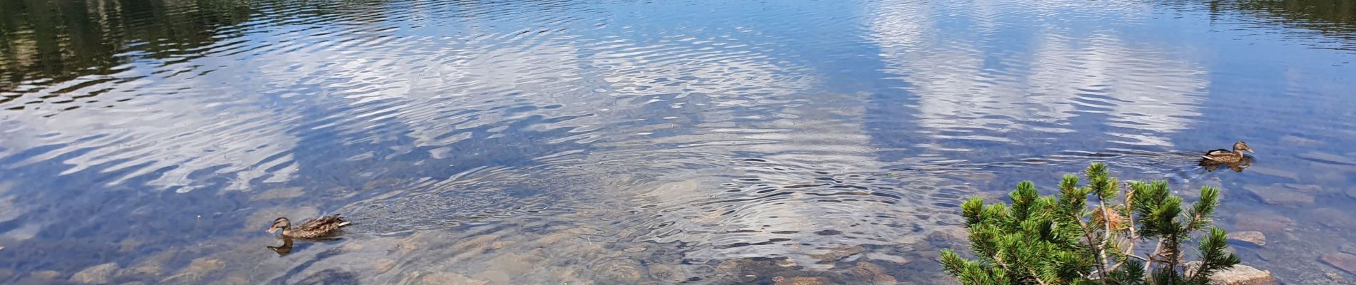 Randonnée Marche Angoustrine-Villeneuve-des-Escaldes - les lacs des bouillouses  - Photo