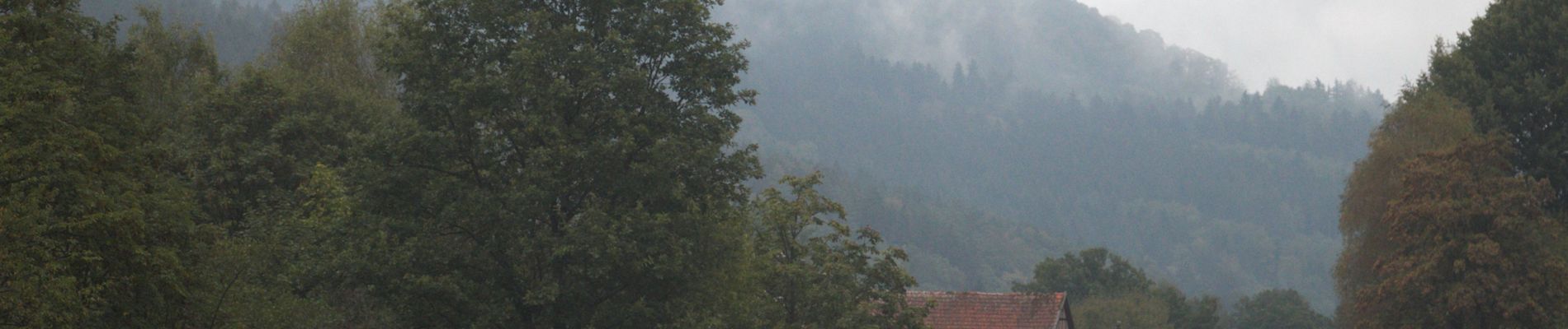 Tocht Te voet Gersfeld - Rhön-Rundweg 2 Horstberg - Photo