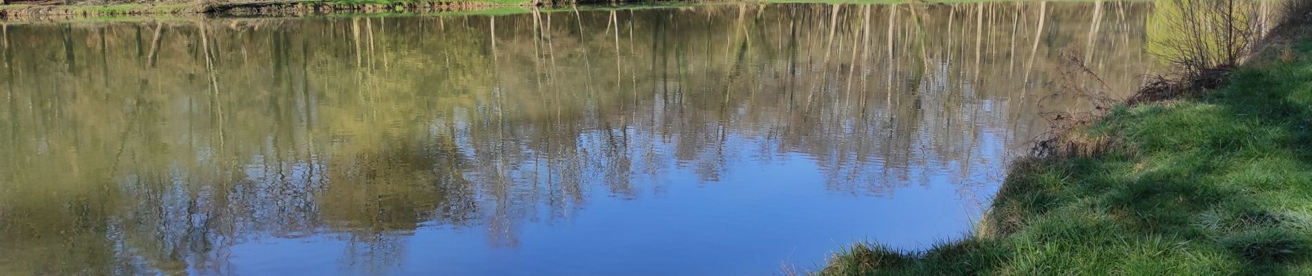 Tour Wandern Heimsbrunn - Heimsbrunn Morsch Galfingue retour  - Photo