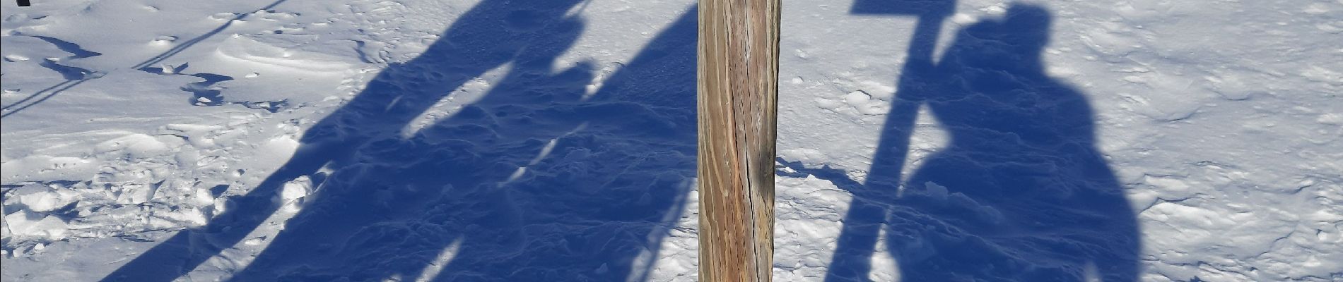 Trail Snowshoes Saint-Jean-Saint-Nicolas - Le palastre - Photo