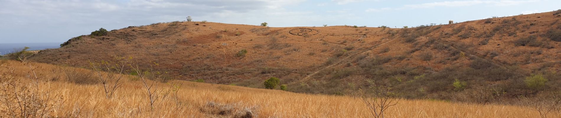 Trail Walking Saint-Paul - Boucle dans la Savane depuis le cap de la Houssaye - Photo