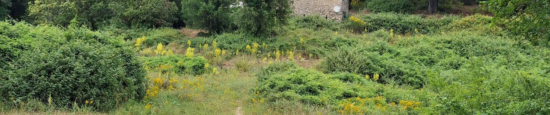 Trail Walking Signes -  vallon d,anis - Photo