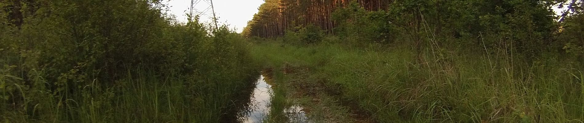 Tour Zu Fuß Möhrendorf - Wanderweg Dechsendorfer Weiher - Bhf Bubenreuth - Photo