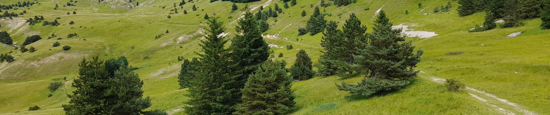 Tour Wandern Lus-la-Croix-Haute - Col de Chante - Jajere Lus la Croix Haute - Photo