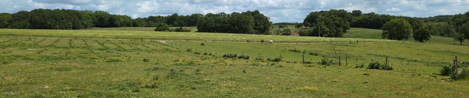 Excursión Senderismo Lignières-de-Touraine - Lignières-de-Touraine - Zig zag Château de l'Islette - 25.9km 365m 5h30 (30mn) - 2024 05 26 - Photo