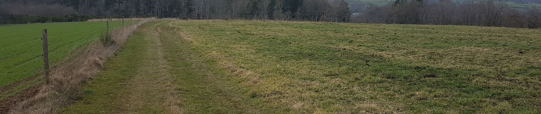 Tocht Stappen Saint-Pierre-le-Chastel - bannieres - Photo