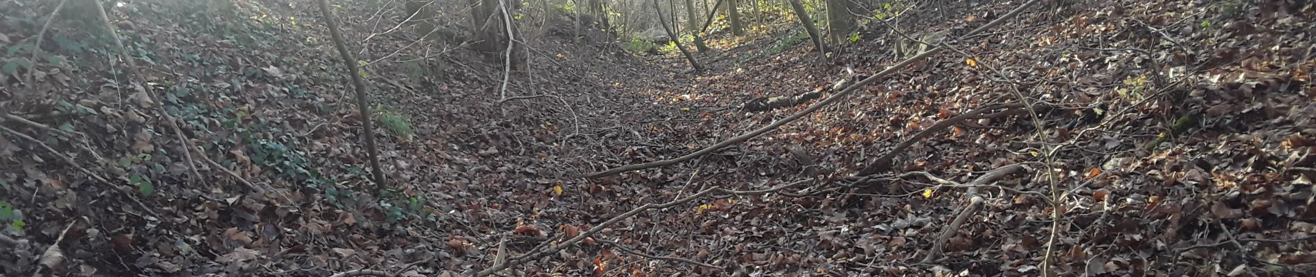 Tour Wandern Brou-sur-Chantereine - brou 18-12 - Photo