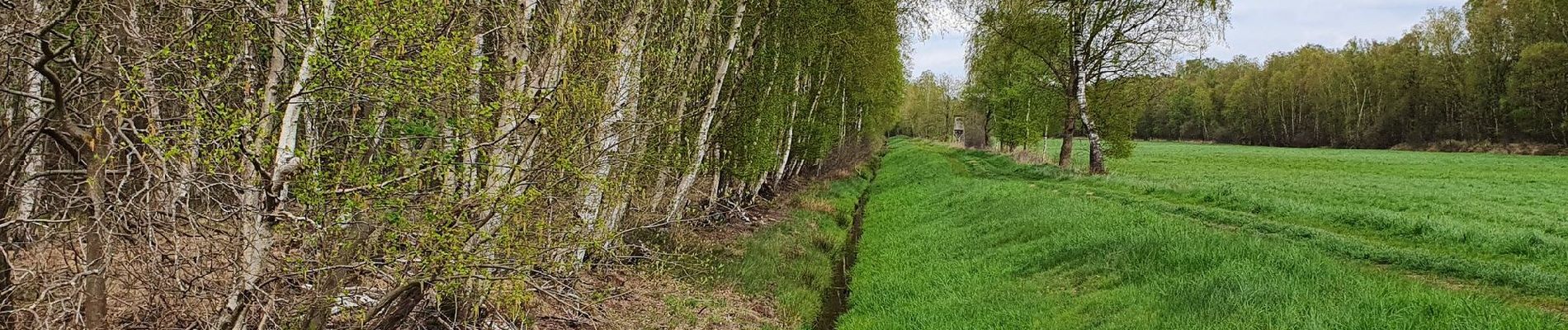 Randonnée A pied Kalbe - Rund um Heidenau-Kalbe Wanderweg - Photo