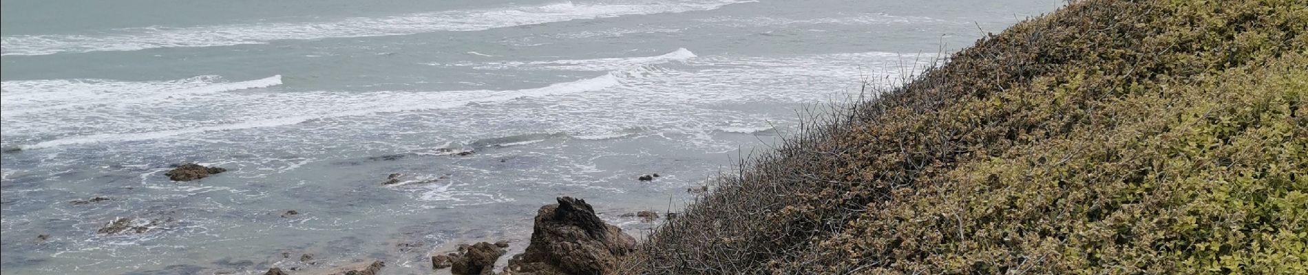 Trail Mountain bike Jard-sur-Mer - sortie pointetrucmuch - Photo