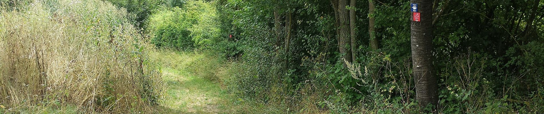 Tocht Te voet Weikersheim - Teufelstal bei Elpersheim - Photo