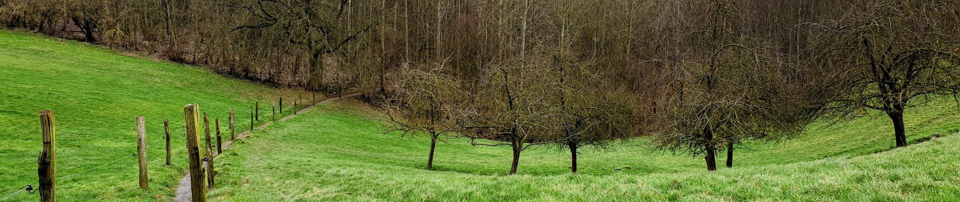 Tocht Stappen Frasnes-lez-Anvaing - Montroeul-au-Bois - Photo