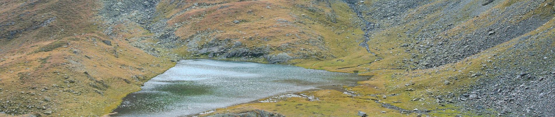 Excursión A pie Desconocido - Nucșoara - V. Rea - Portița Viștei - Photo