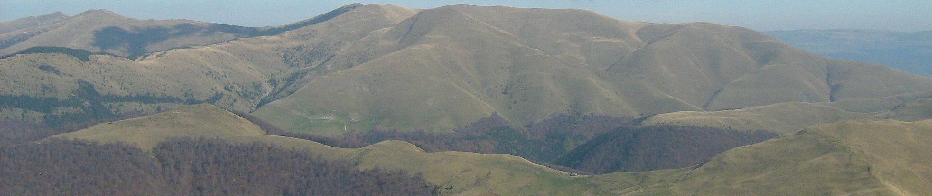 Tocht Te voet Bușteni - Bușteni - Orjogoaia - Trăisteni - Photo