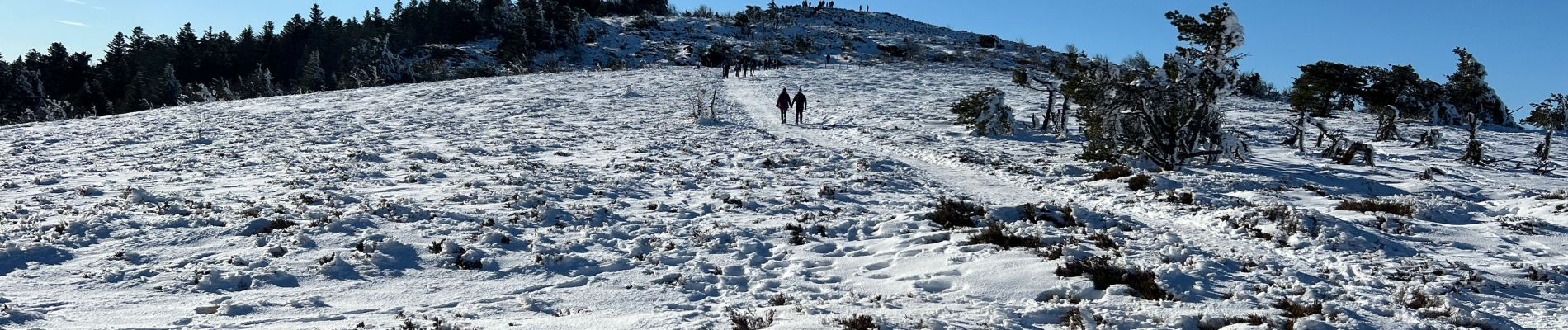 Excursión Senderismo La Valla-en-Gier - Crêt de la perdrix  - Photo