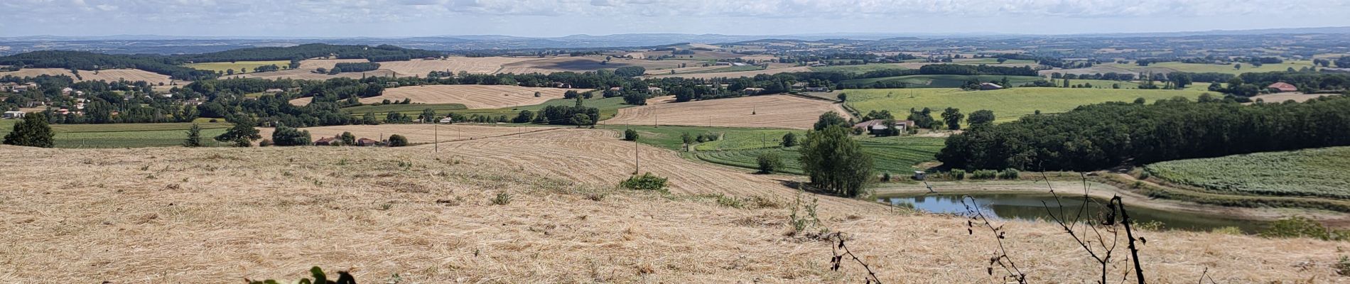 Trail Walking Cadalen - Les clochers court 1 - Photo