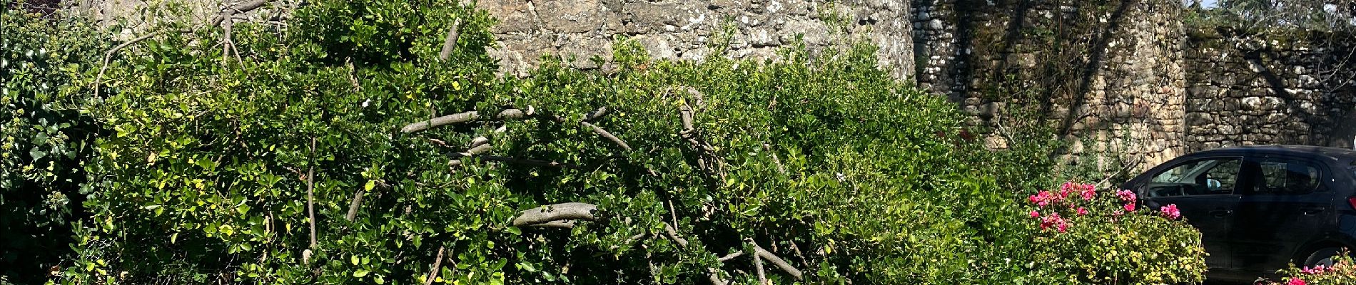 Excursión Ruta Île-d'Arz - Bretagne île d’Arz fin rando Tamalous - Photo