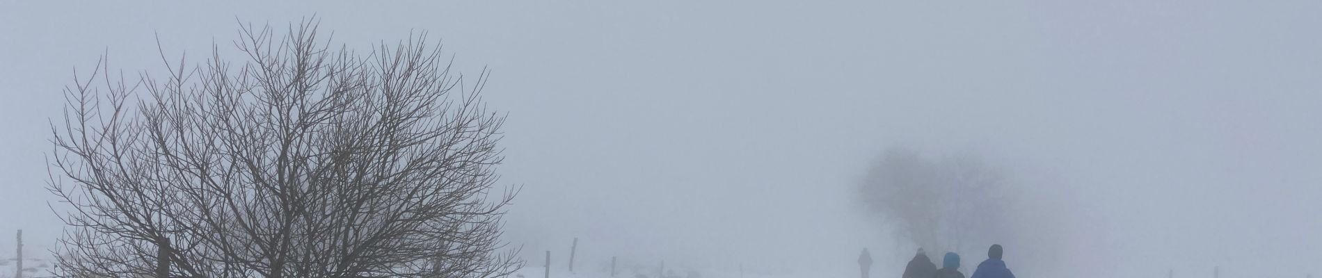Randonnée Raquettes à neige Besse-et-Saint-Anastaise - Lac pavin pealat  - Photo