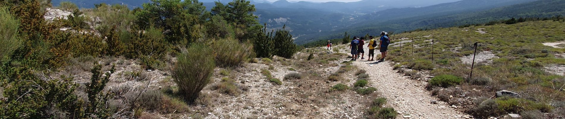 Percorso Marcia Castellane - Chasteuil Rougon - Photo