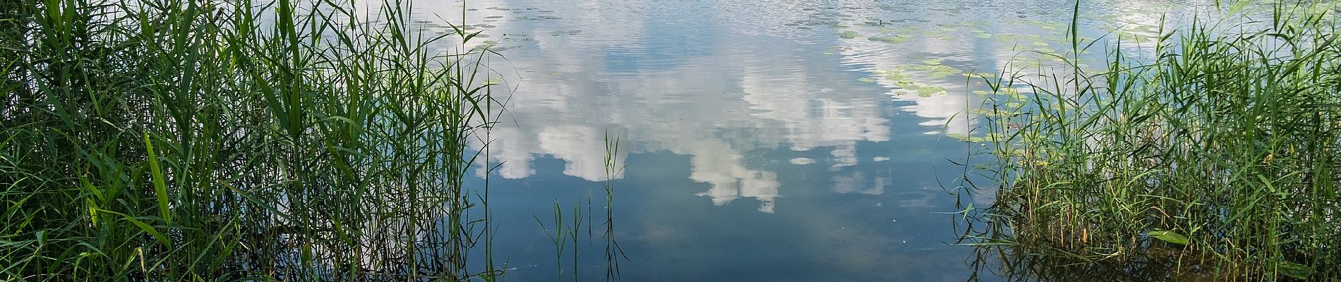 Tocht Te voet Chorin - Rundweg Bachsee - Photo