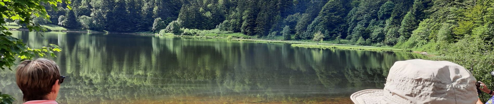 Tour Wandern Woll - Tourbière de Machais - Photo